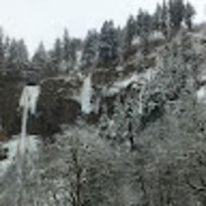 Meet your Posher, Colleen